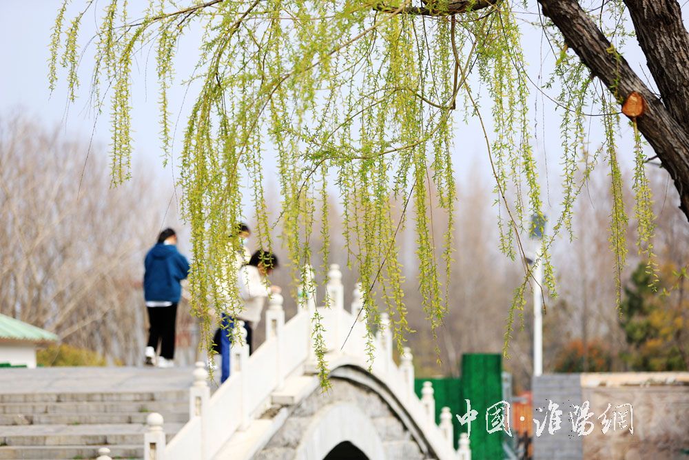 長(zhǎng)堤煙柳